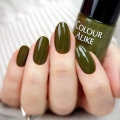 816 - Olive Knockout.JPG